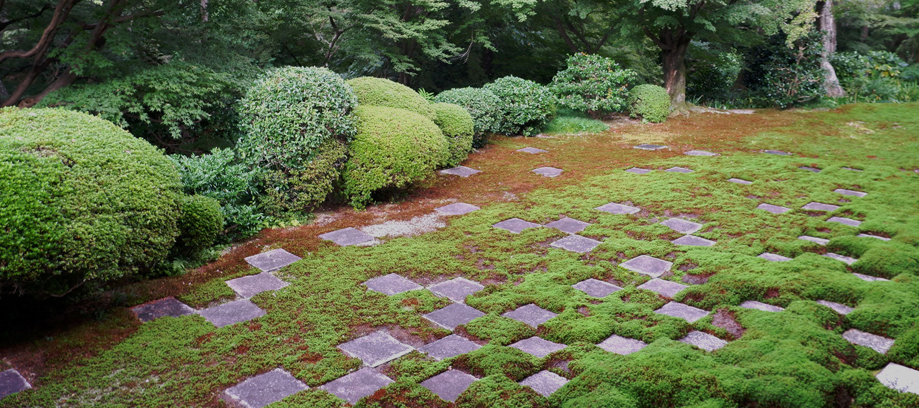 the-motifs-which-can-be-found-in-the-sceneries-musubi