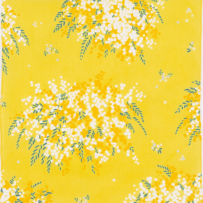 45 Cohare | mimosa yellow